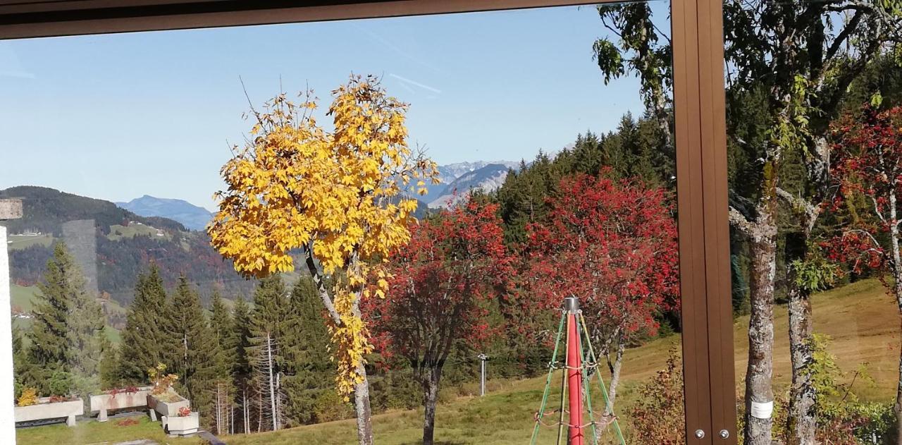 Отель Berghaus Koglmoos Ауффах Экстерьер фото